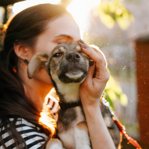 Cosa significa adottare un cane?