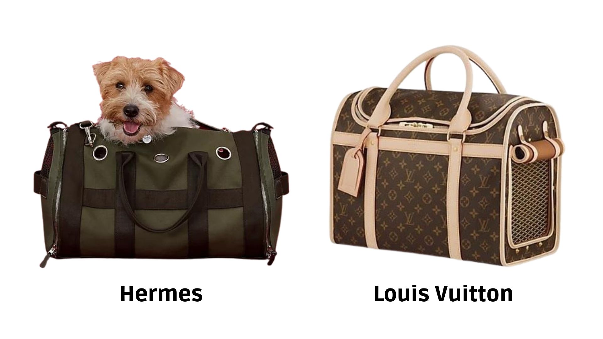 Trasportini firmati Hermes e Vuitton