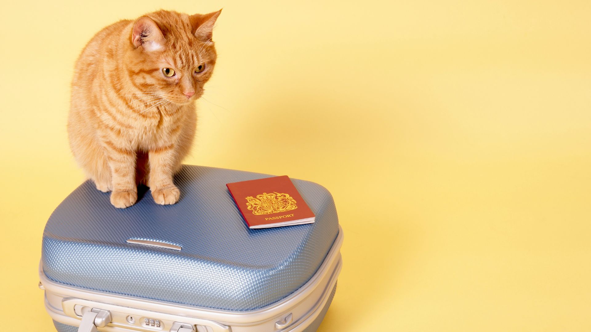 Pet passport