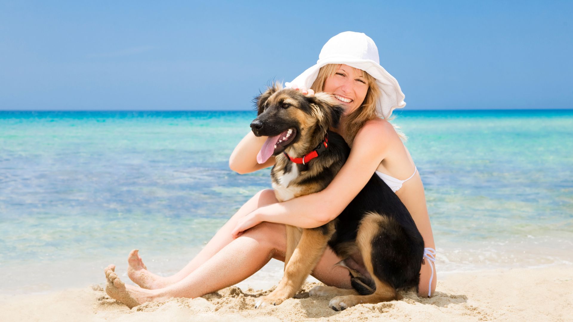 Spiaggia per cani