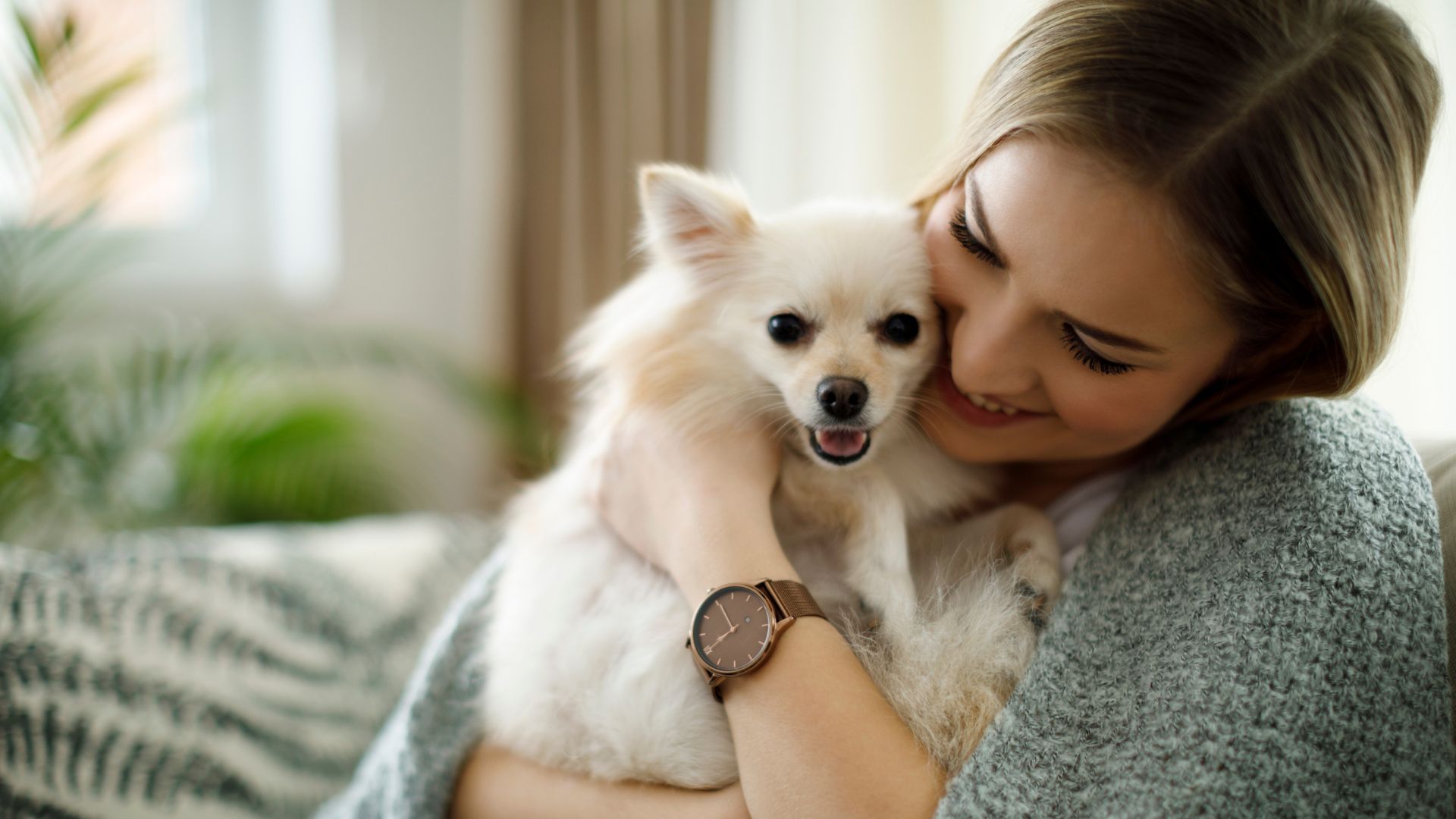 Cane compagno dell'uomo