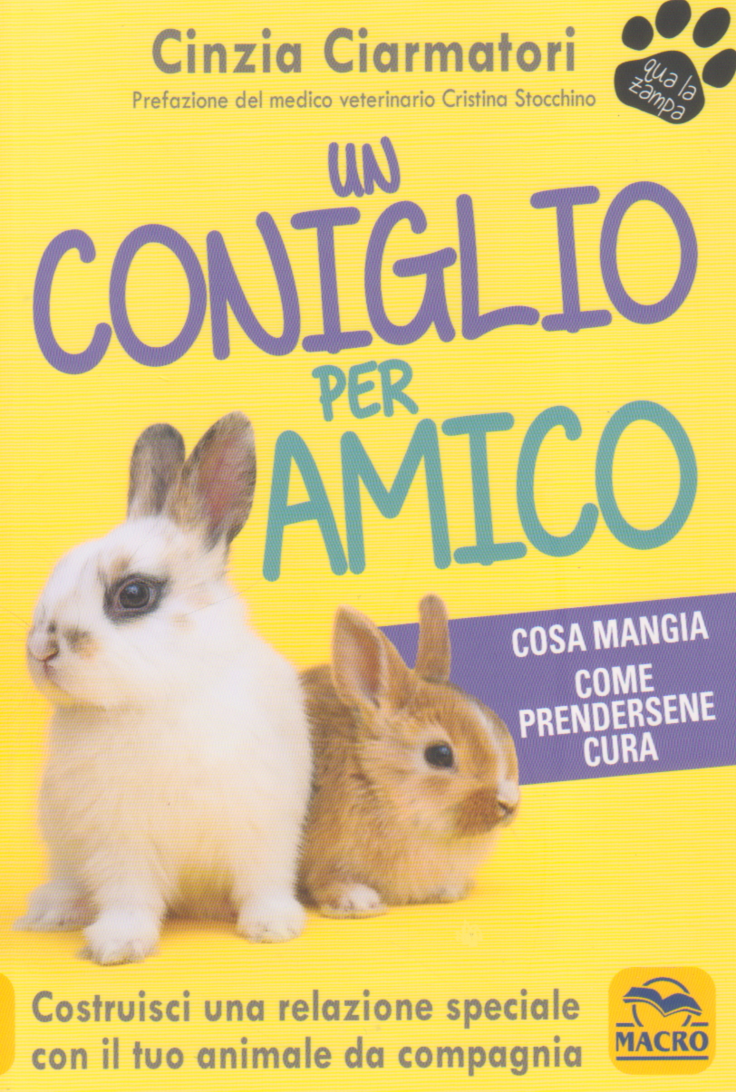 Un coniglio per amico