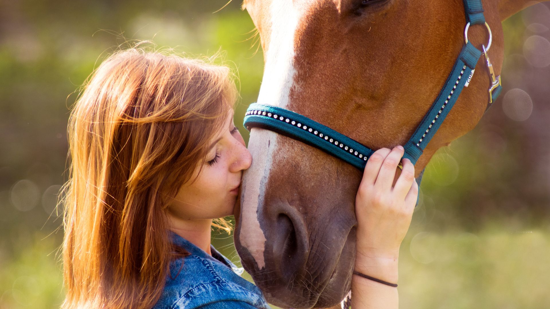 Empatia con i cavalli