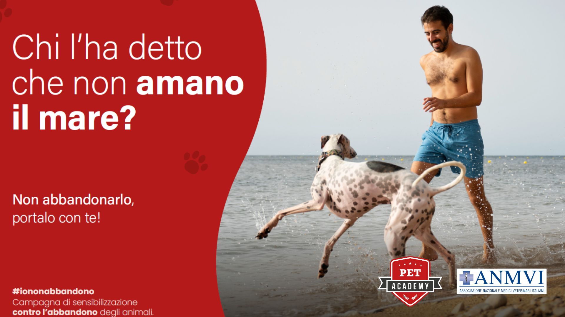 Campagna contro l'abbandono 2023