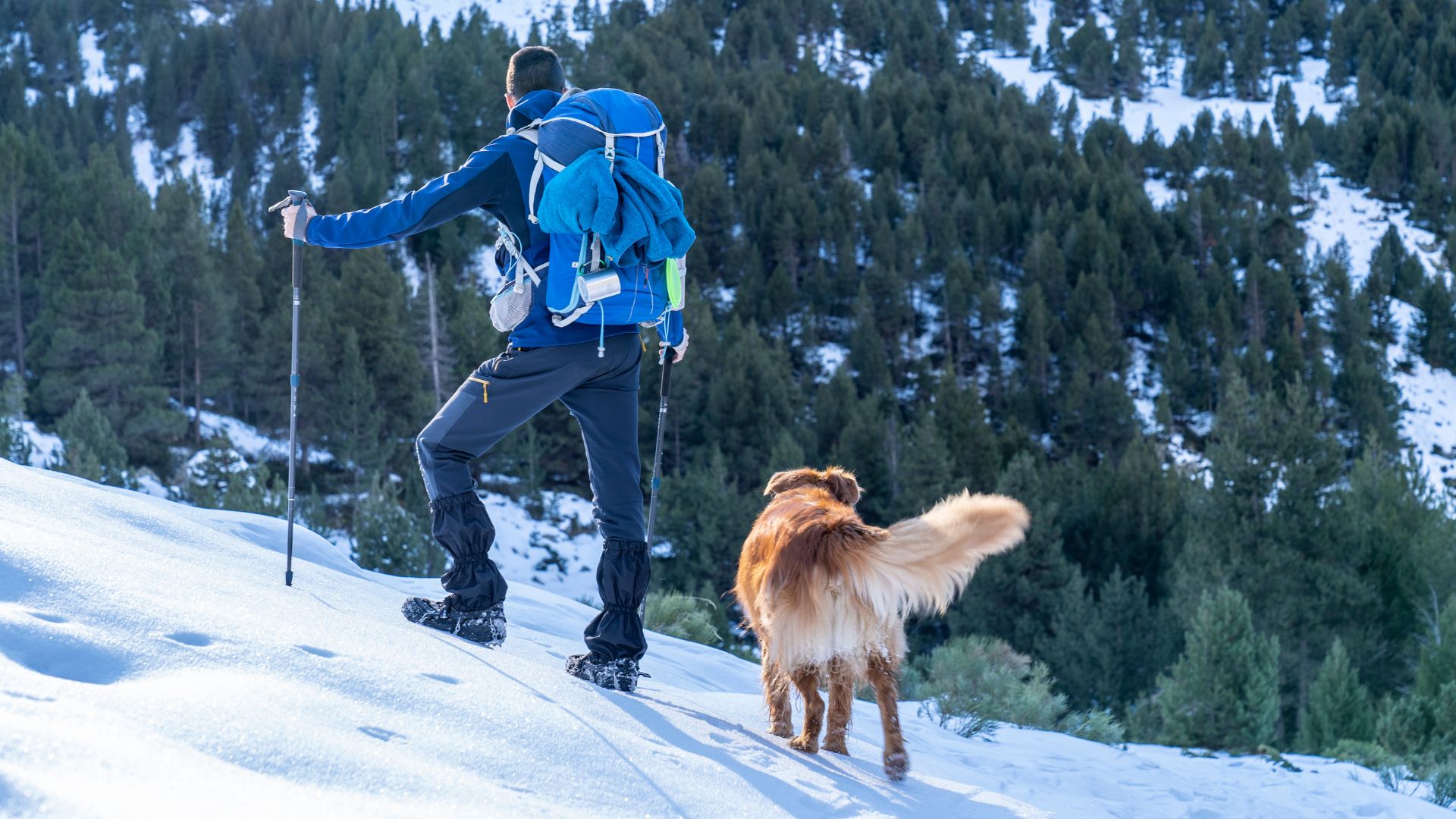 Trekking invernale con cane