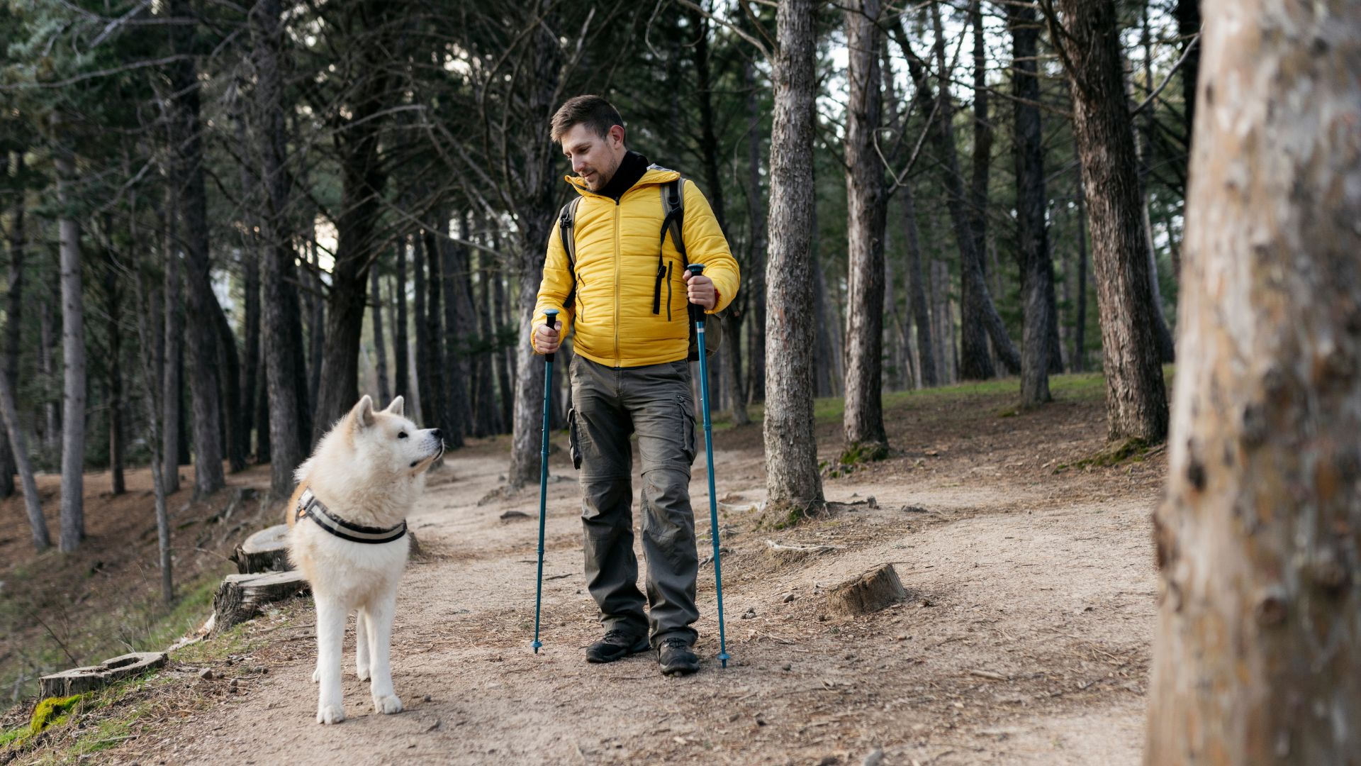 Percorso trekking cane