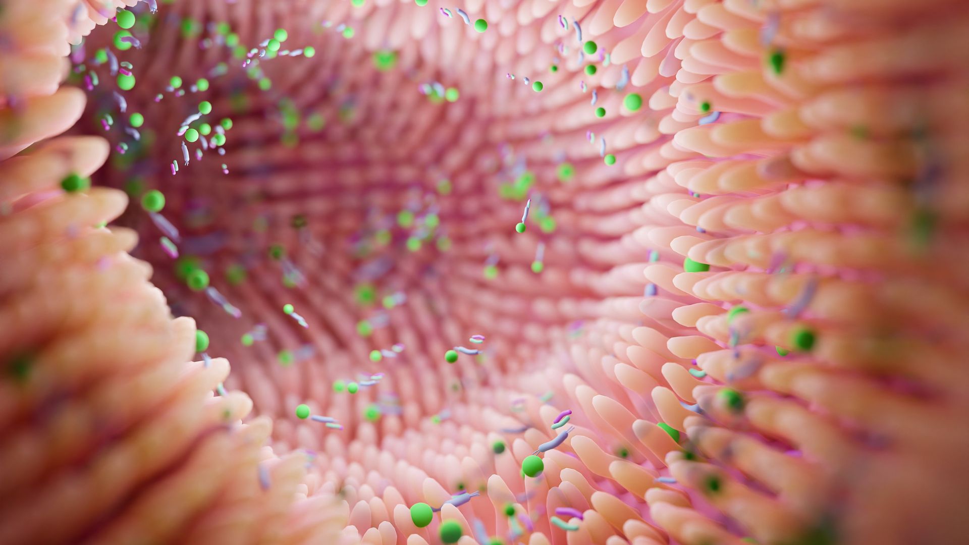 Microbiota