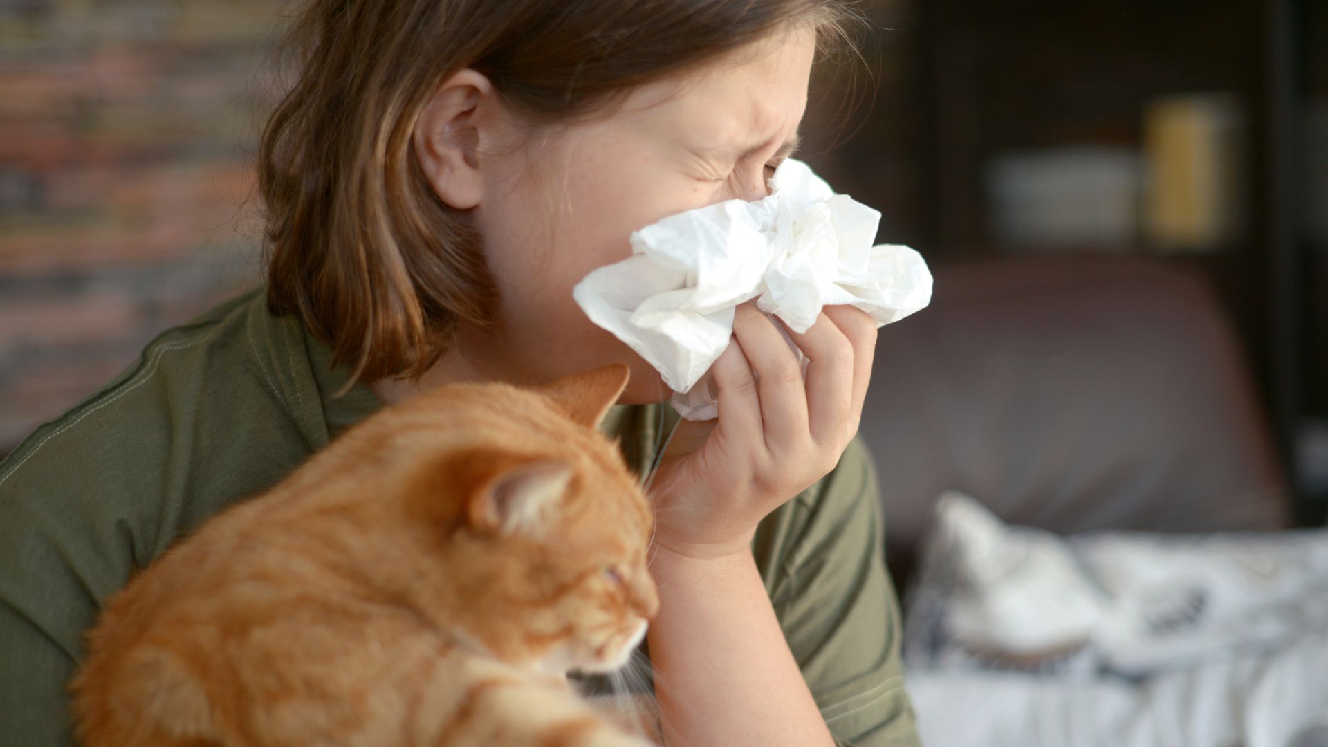 Allergia ai gatti