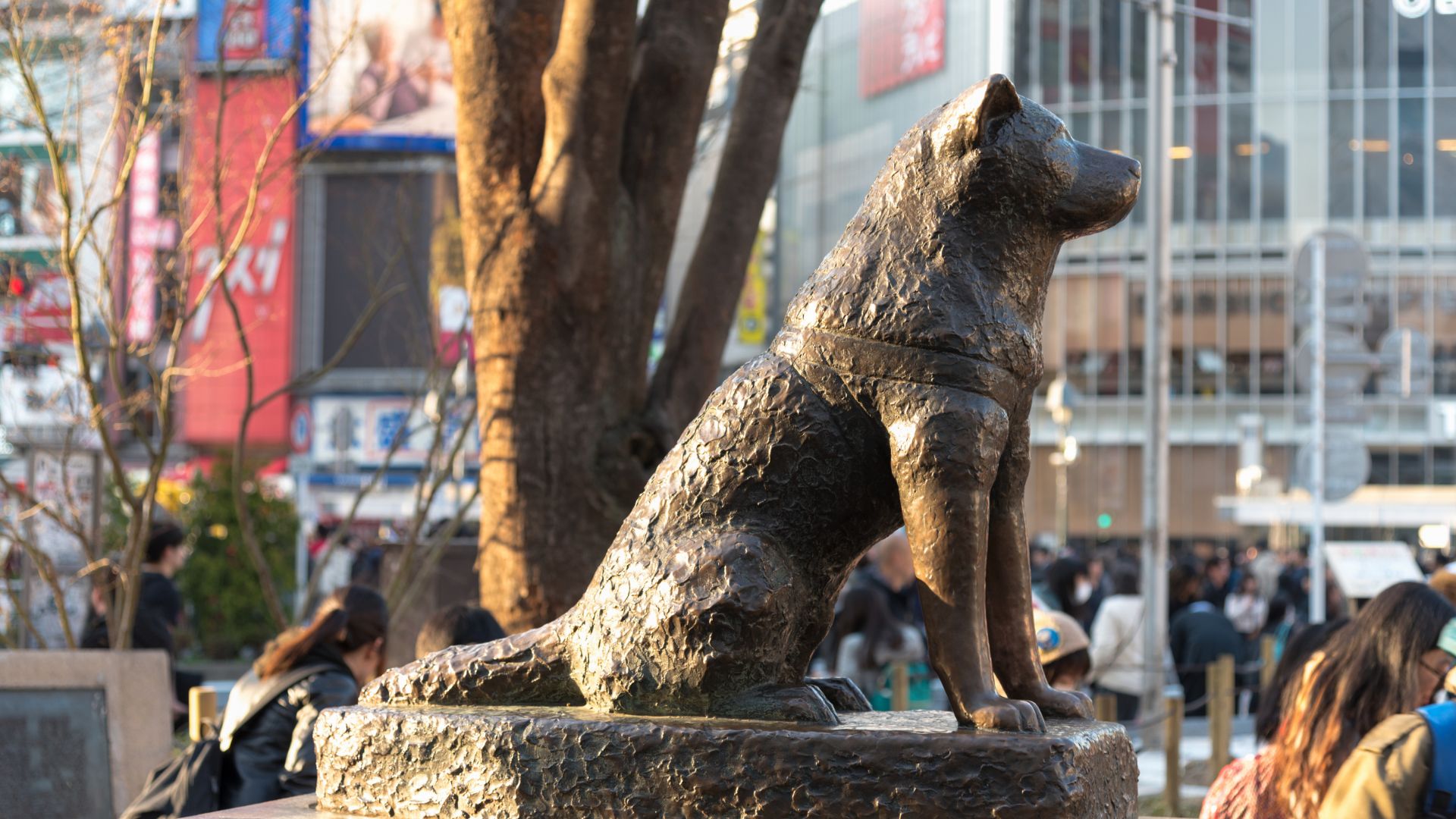 Statua Hachiko