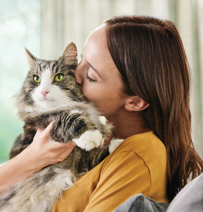 Allergia al gatto: conosciamo il problema e impariamo a gestirlo al meglio
