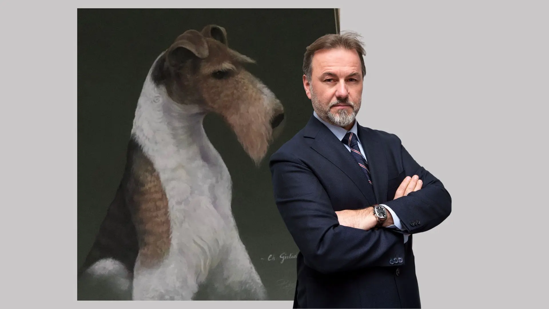 Handstripping, rimozione pelo morto cani