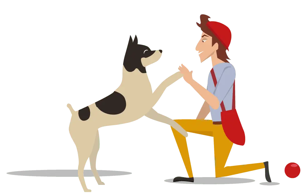 Patentino per cani Patentino per cani